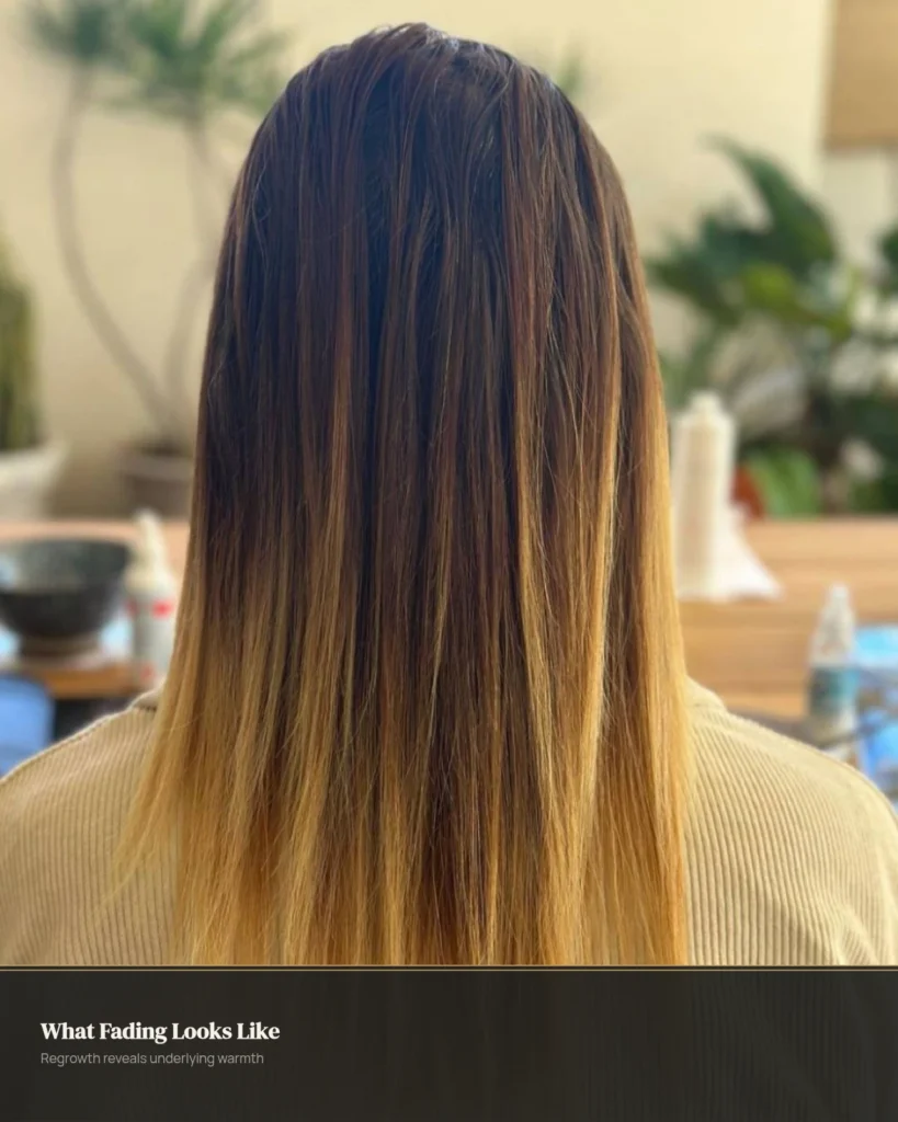 Faded ash brown hair showing warm brassy regrowth