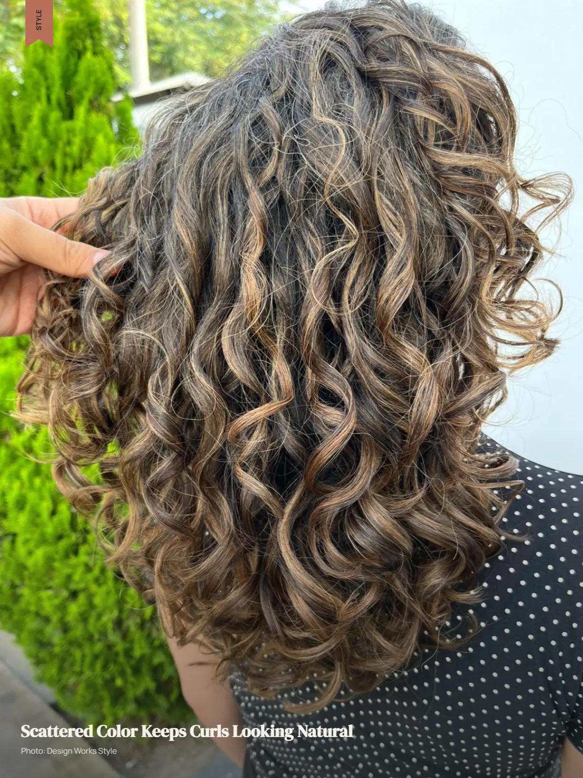 Curly hair with scattered subtle balayage pieces and a darker natural-looking base