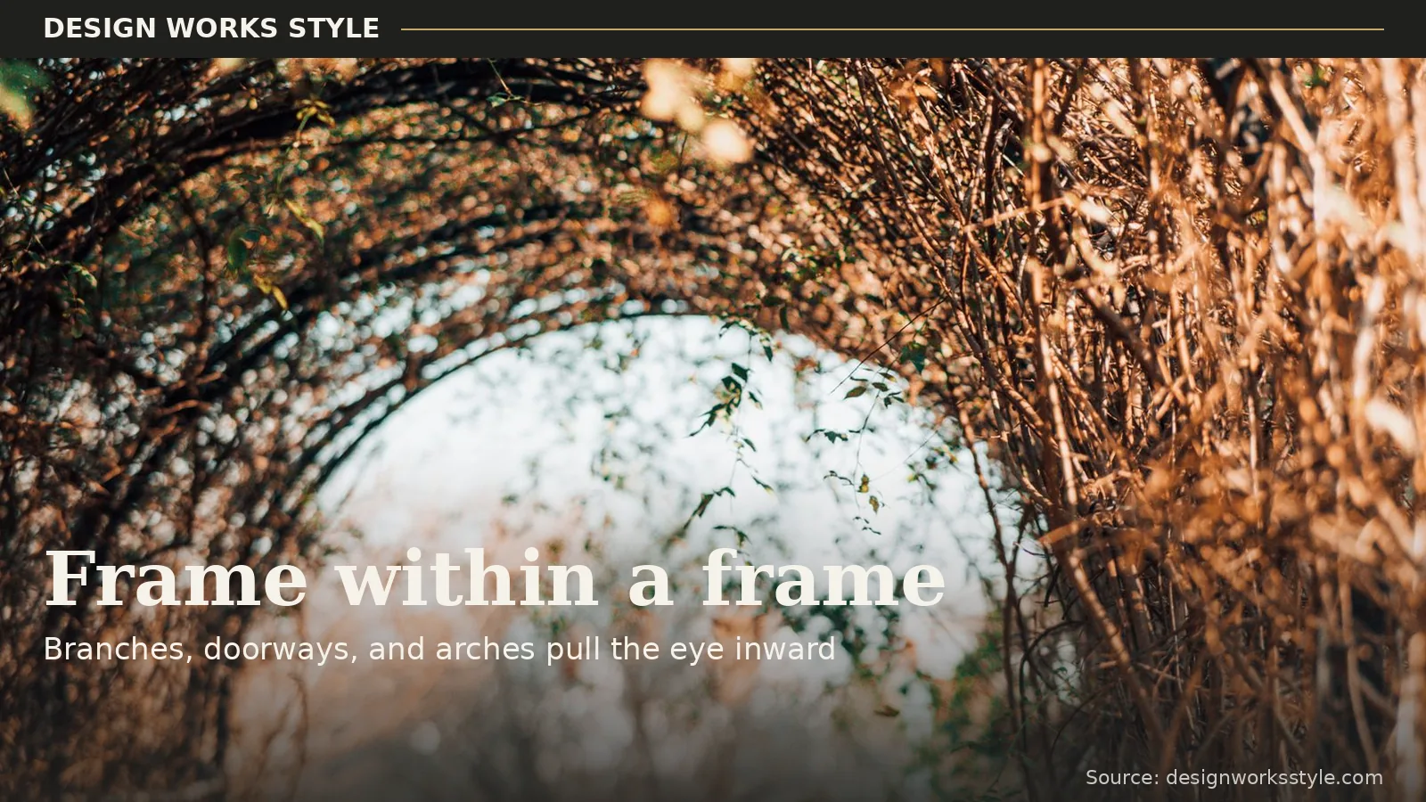 Photo using tree branches as a natural frame around the subject