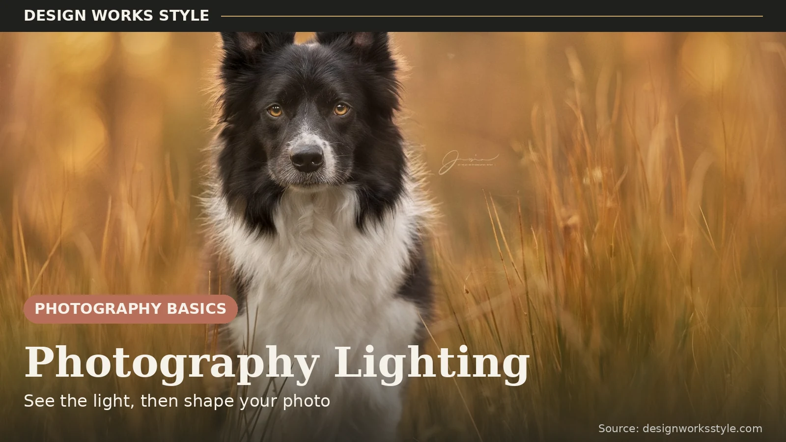 Backlit golden hour portrait with warm glowing light